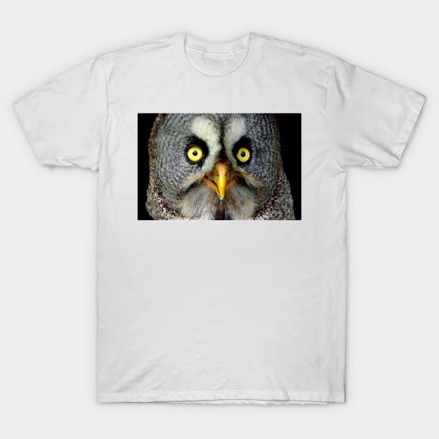 Great Grey Owl eye's T-Shirt by Simon-dell